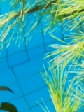 LetoMartinouKyritsi-50X-015