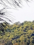 LetoMartinouKyritsi-50X-03